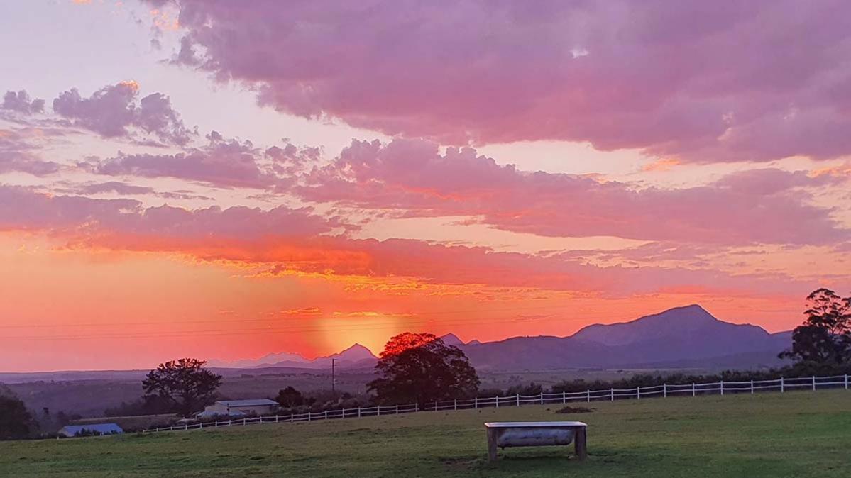 Outeniqua Moon Percheron Stud Farm Ruiterbos Esterno foto