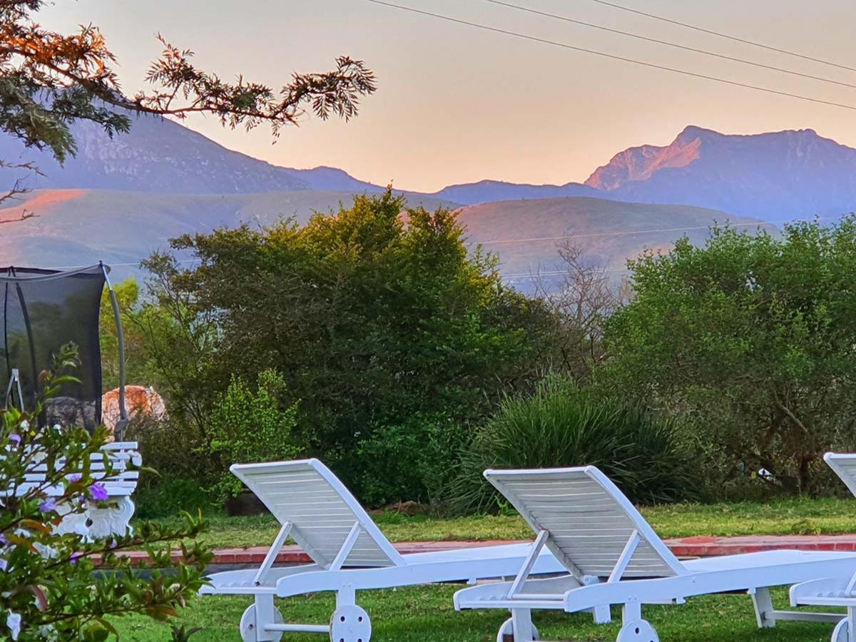 Outeniqua Moon Percheron Stud Farm Ruiterbos Esterno foto