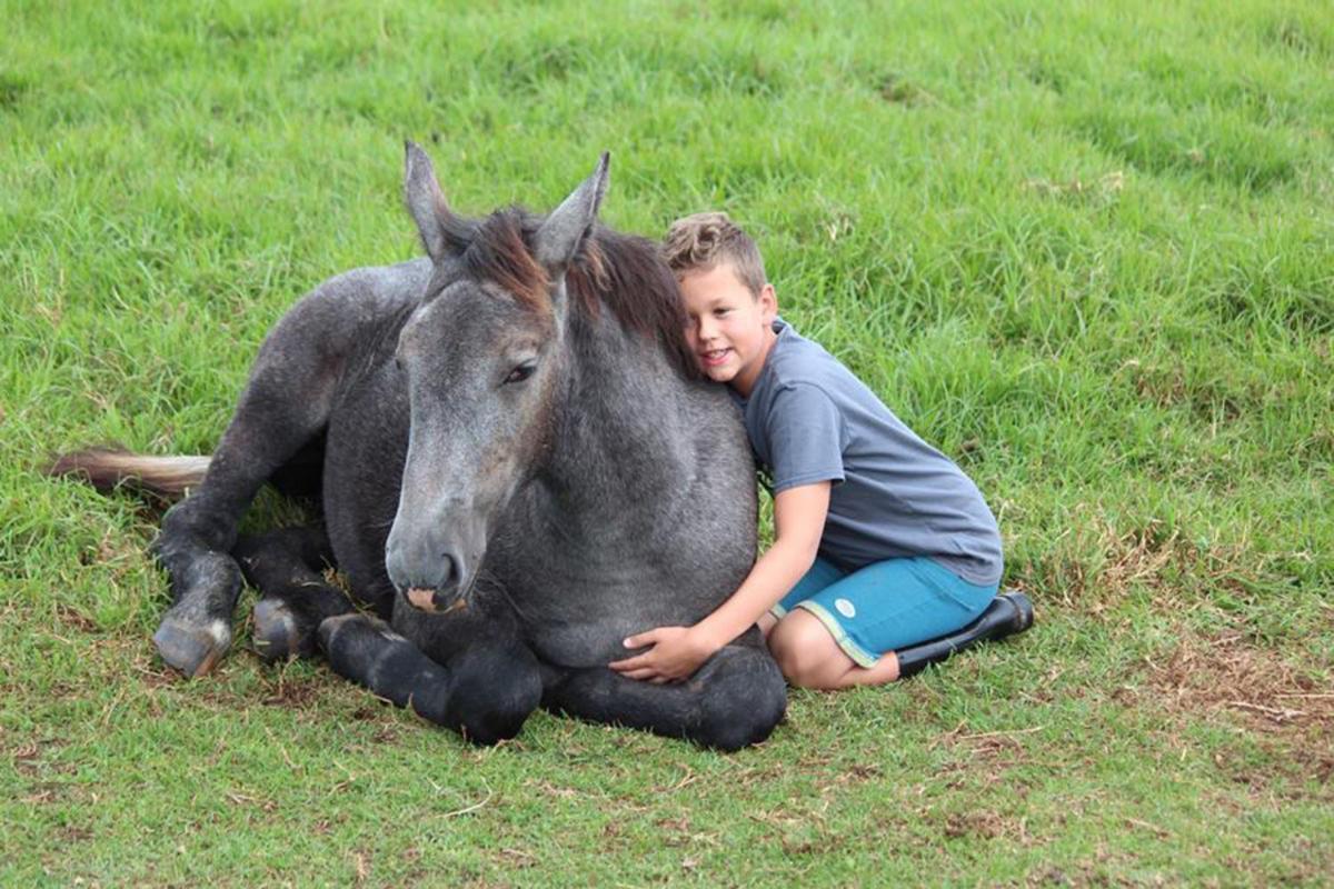 Outeniqua Moon Percheron Stud Farm Ruiterbos Esterno foto