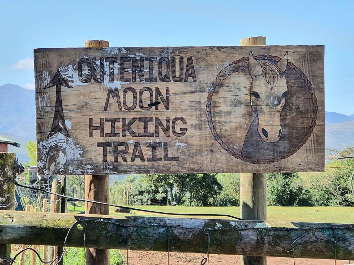 Outeniqua Moon Percheron Stud Farm Ruiterbos Esterno foto