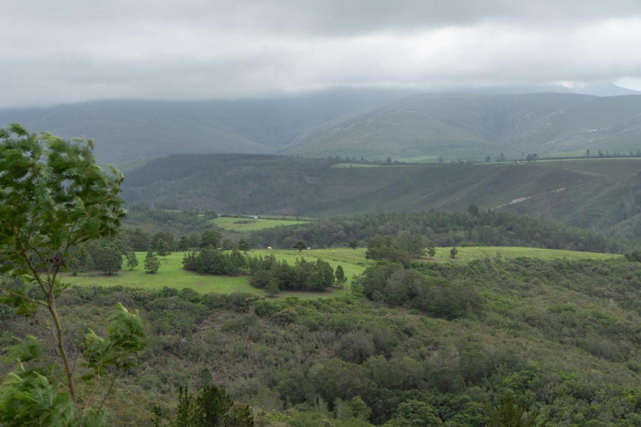 Outeniqua Moon Percheron Stud Farm Ruiterbos Esterno foto