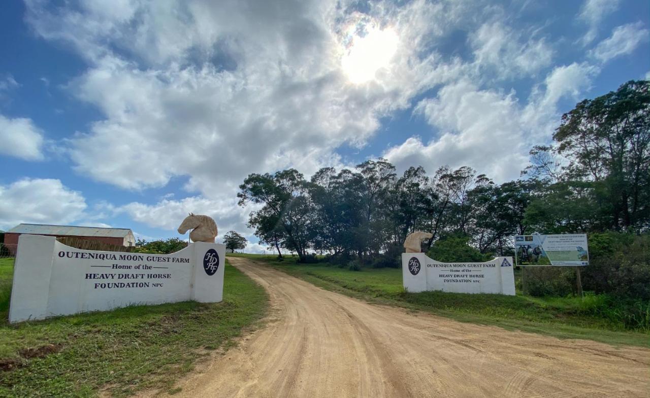 Outeniqua Moon Percheron Stud Farm Ruiterbos Esterno foto