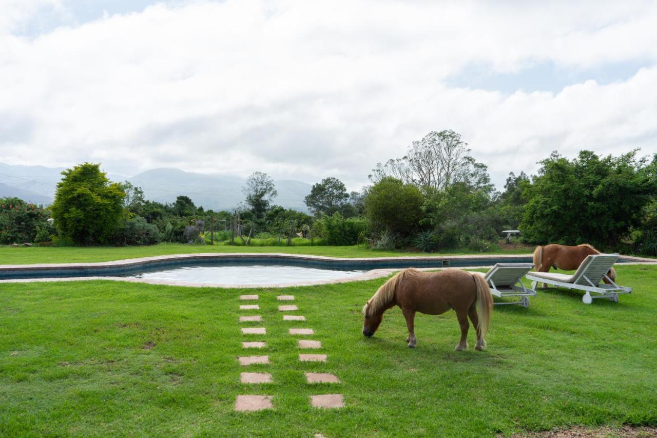 Outeniqua Moon Percheron Stud Farm Ruiterbos Esterno foto